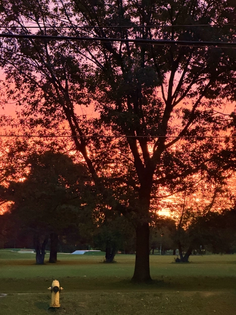 Sunrise